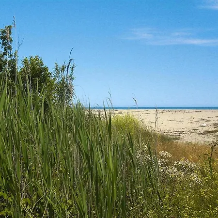 Lejlighed Near Sandy