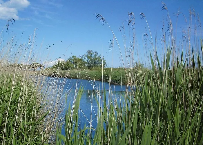 Apartament Ghisonaccia Apartment Near Sandy Beach