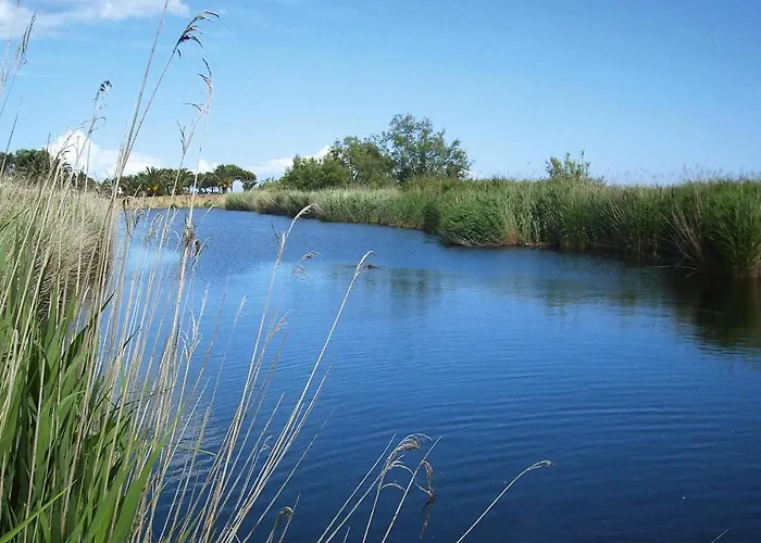 Ghisonaccia Apartment Near Sandy Beach *